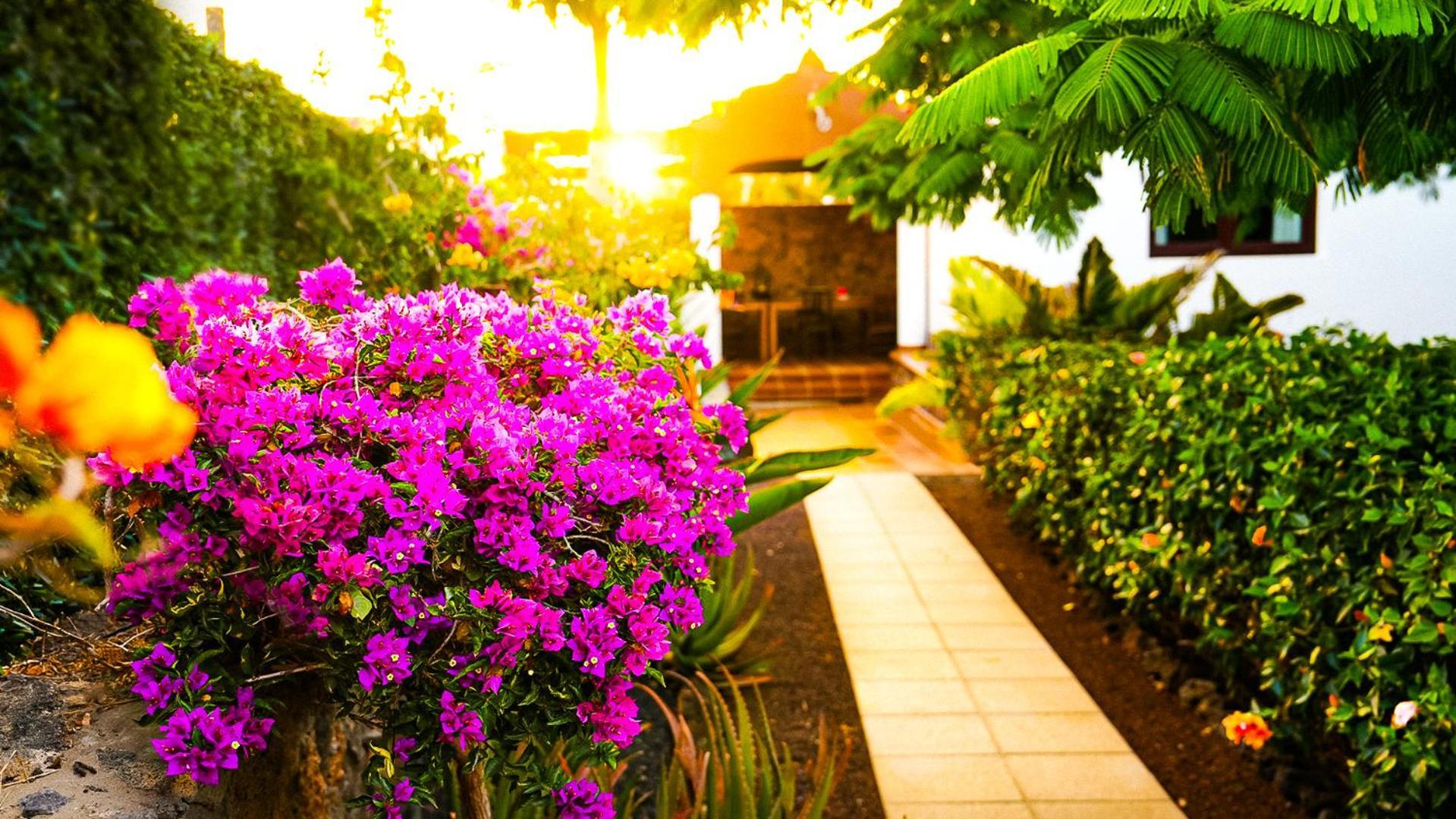 Villa Azul Fuerteventura Villaverde  Bagian luar foto