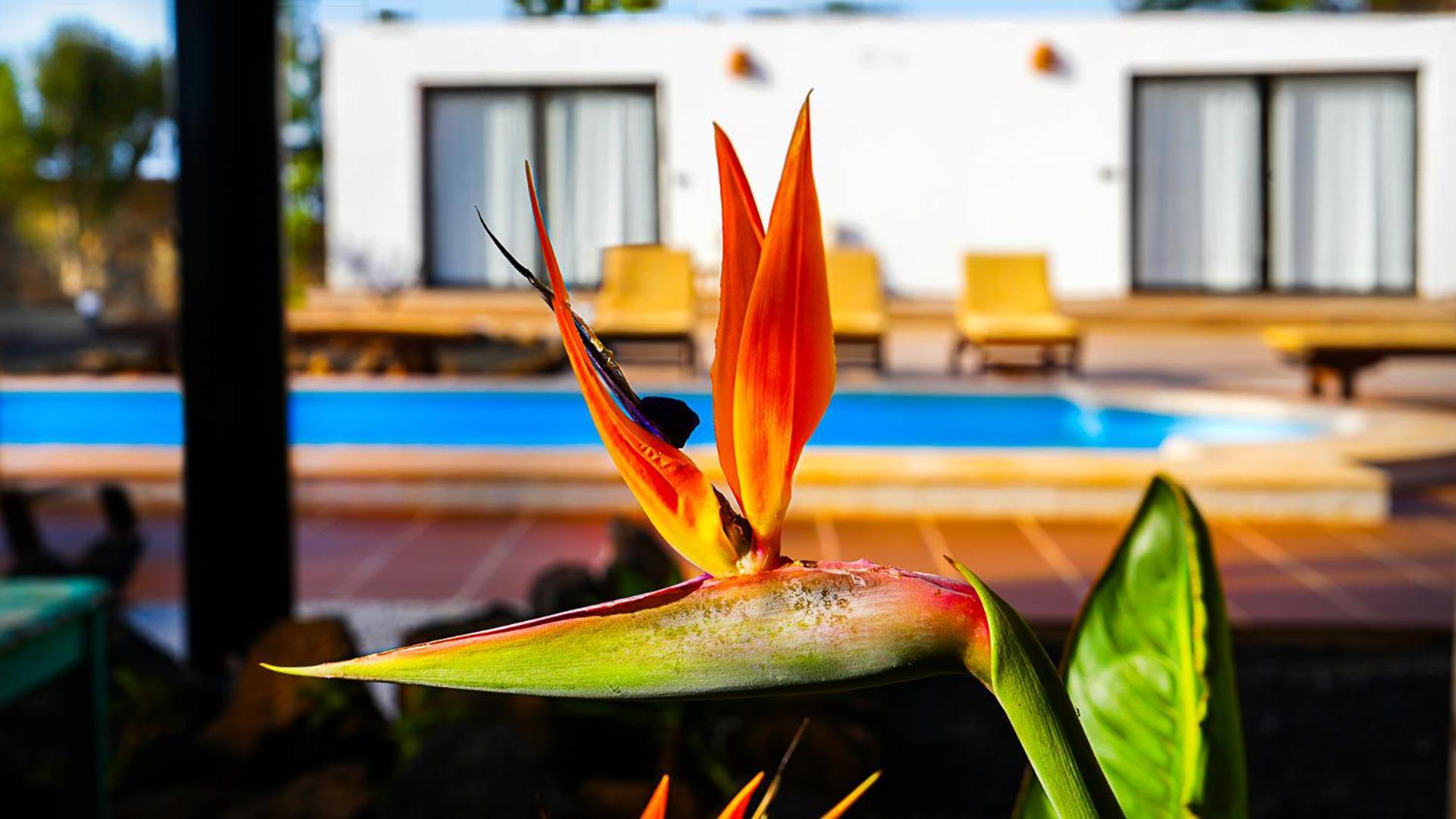 Villa Azul Fuerteventura Villaverde  Bagian luar foto